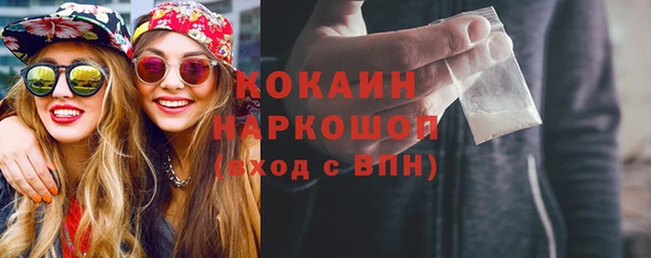 индика Протвино