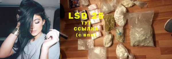 крисы Вяземский