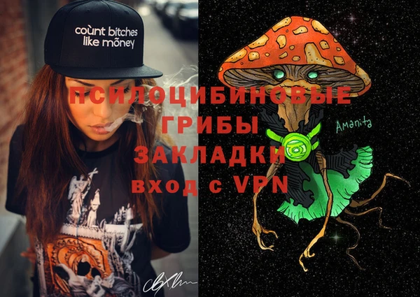 МДПВ Вязьма