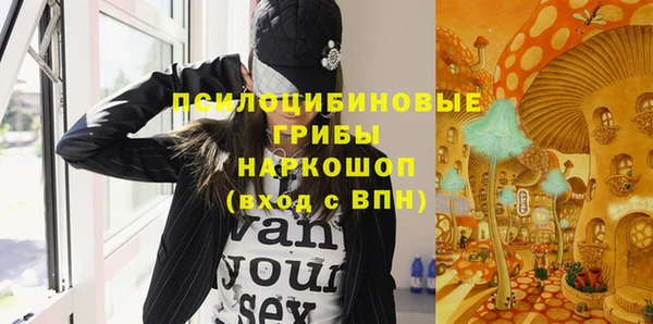 крисы Вяземский