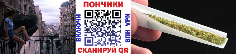 Бошки Шишки марихуана как найти Цоци-Юрт